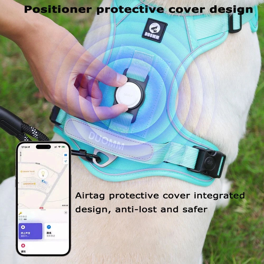Harnais tactique bleu Compagnon & Co avec support AirTag intégré et bandes réfléchissantes sur un chien